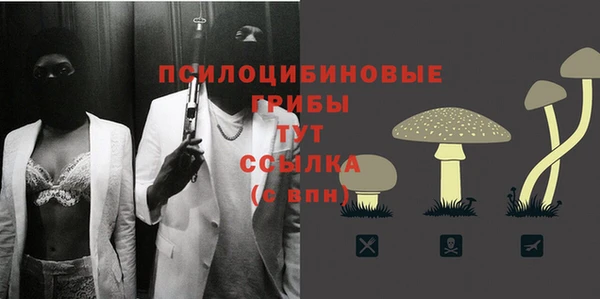 MESCALINE Покачи