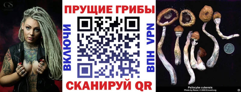 блэк спрут зеркало  Калач  Галлюциногенные грибы ЛСД 